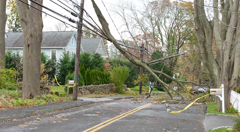 A large broken tree limb on top of power lines