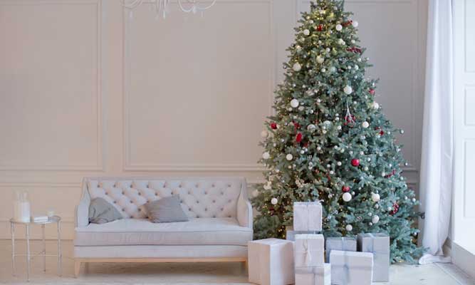 Read more about the article How to Keep Your Christmas Tree Fresh Throughout the Holiday Season