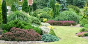 The Benefits Of Evergreens For A Beautiful Landscape - Trees Unlimited