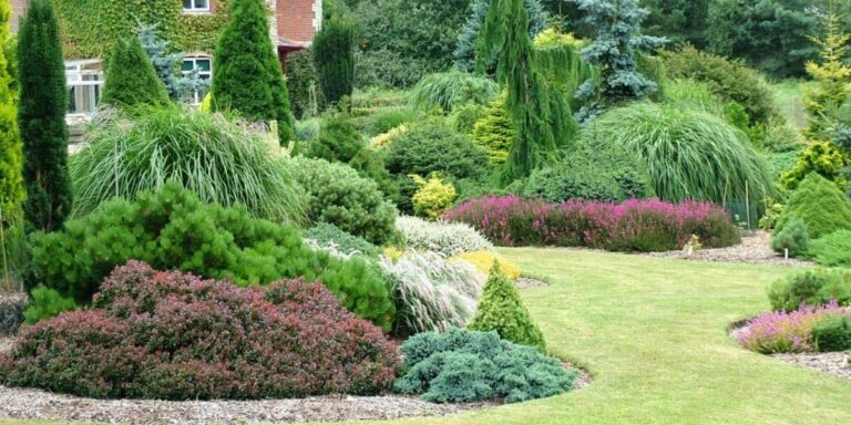 The Benefits of Evergreens for a Beautiful Landscape - Trees Unlimited