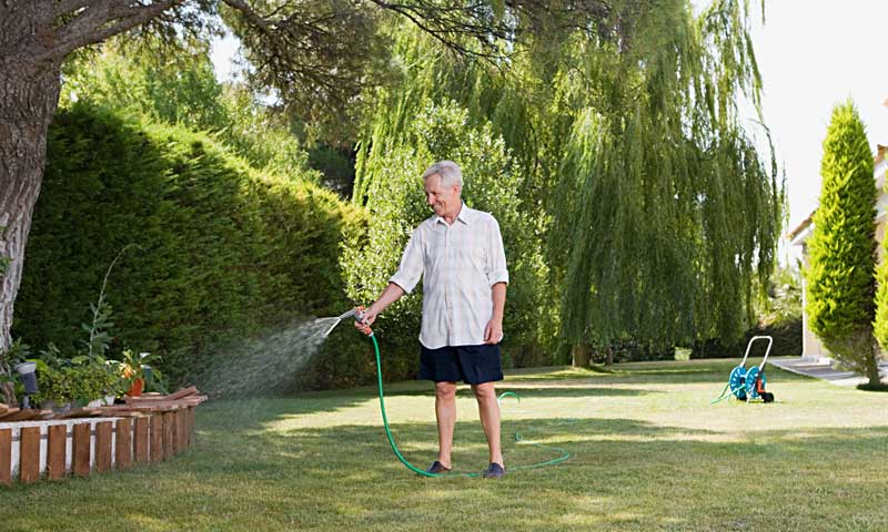 Man watering lawn and evergreen trees in New Jersey