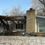 Does Homeowner’s Insurance Pay for Tree Removal in NJ?