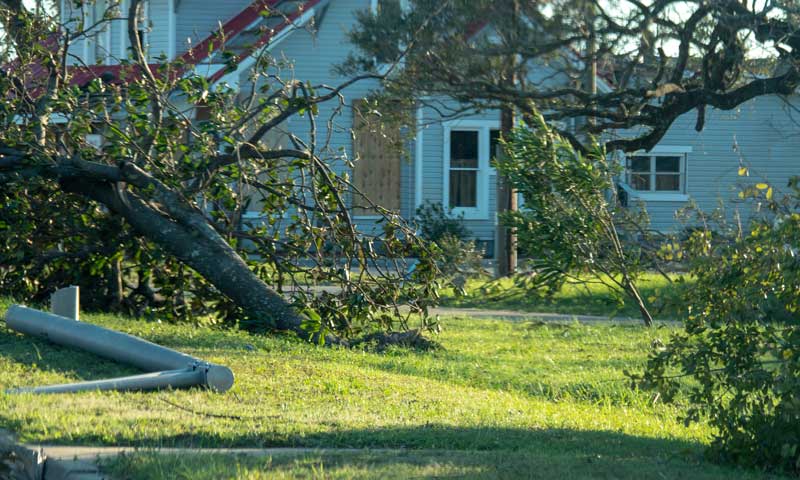 A large, fallen tree branch sits on a home’s front lawn