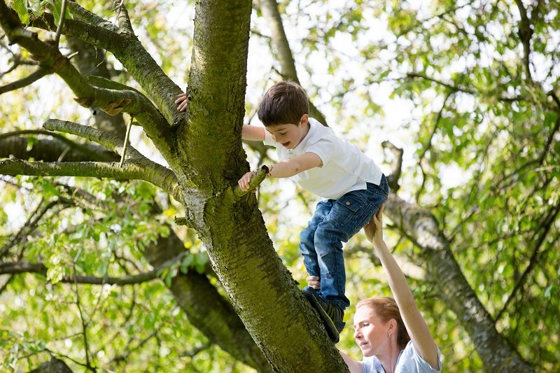 child kid climbing tree