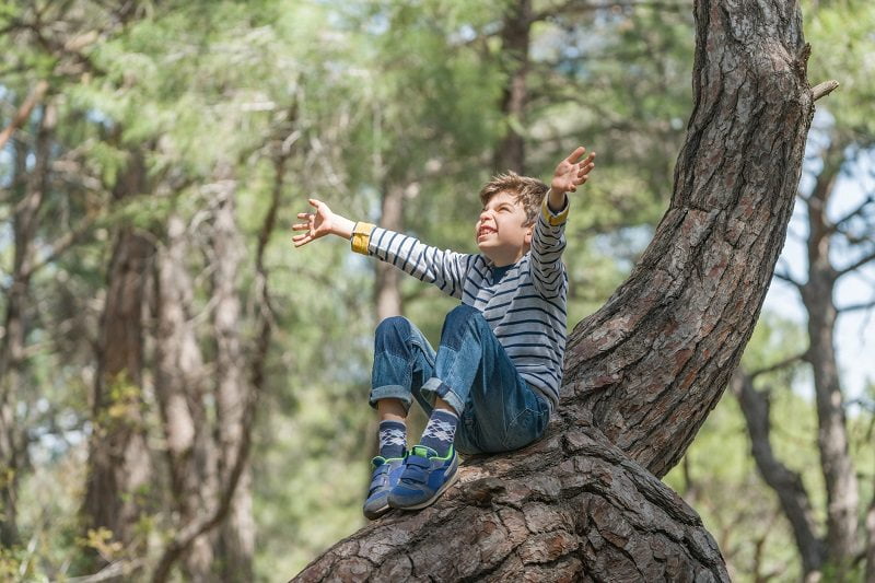 boy sitting tree climbing