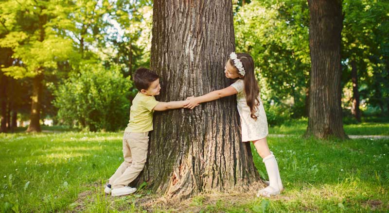 Two young kids with their arms wrapped around a tree as if to be hugging the tree.