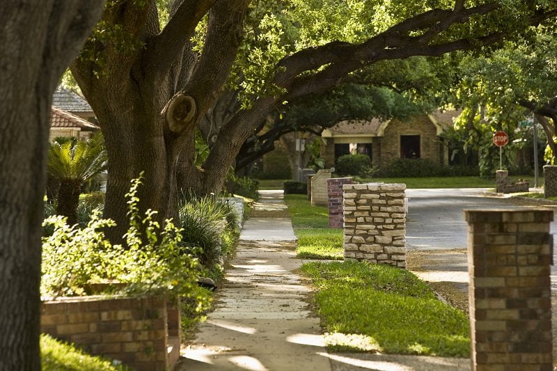 mature trees neighborhood sidewalk