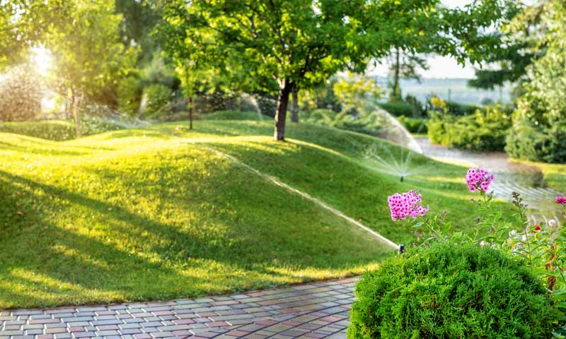 A sprinkler system watering lawn and trees