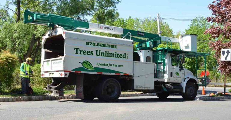 Why Choose an Insured Tree Care Professional? - Trees Unlimited