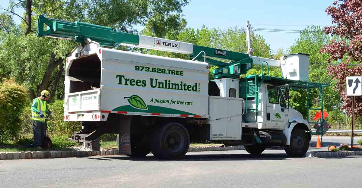Trees Unlimited Truck - Tree Care Professionals