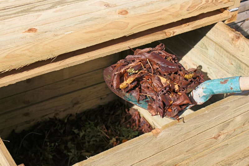 Compost in a Wood Compost Bin