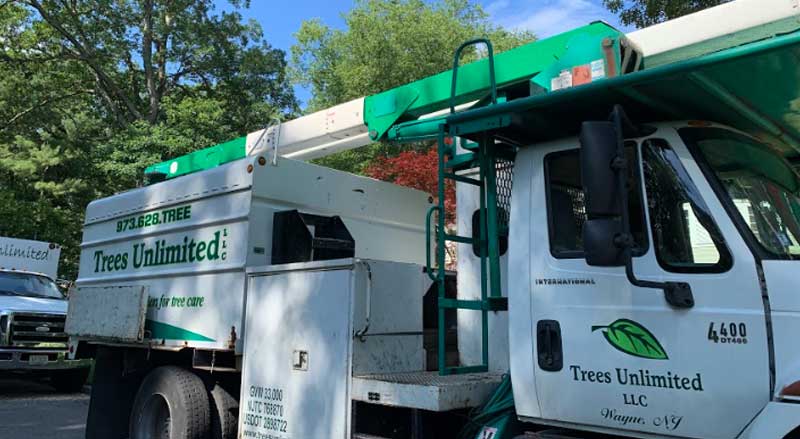 Trees Unlimited service truck parked outdoors, symbolizing professional expertise and equipment used in tree care