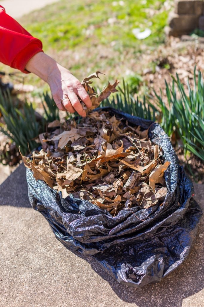 Got Leaves? Make Good Use of Them and Compost This Fall - Learn How