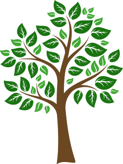 Single Tree Graphic