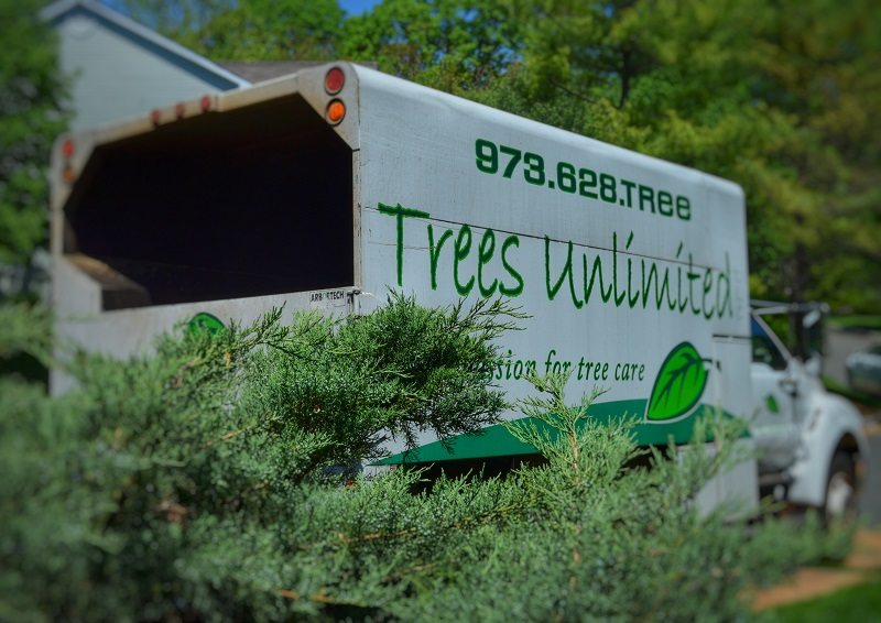 trees unlimited truck