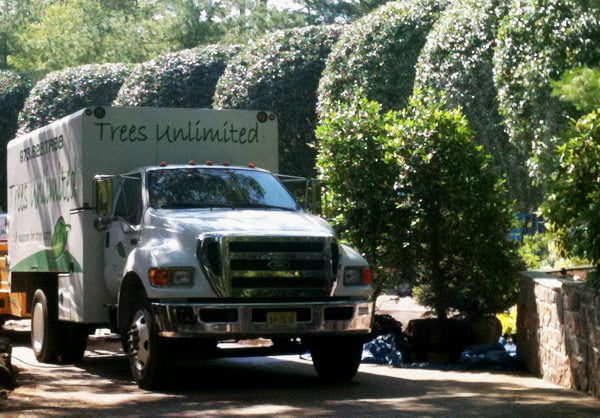 Trees Unlimited Truck for Tree Pruning & Trimming